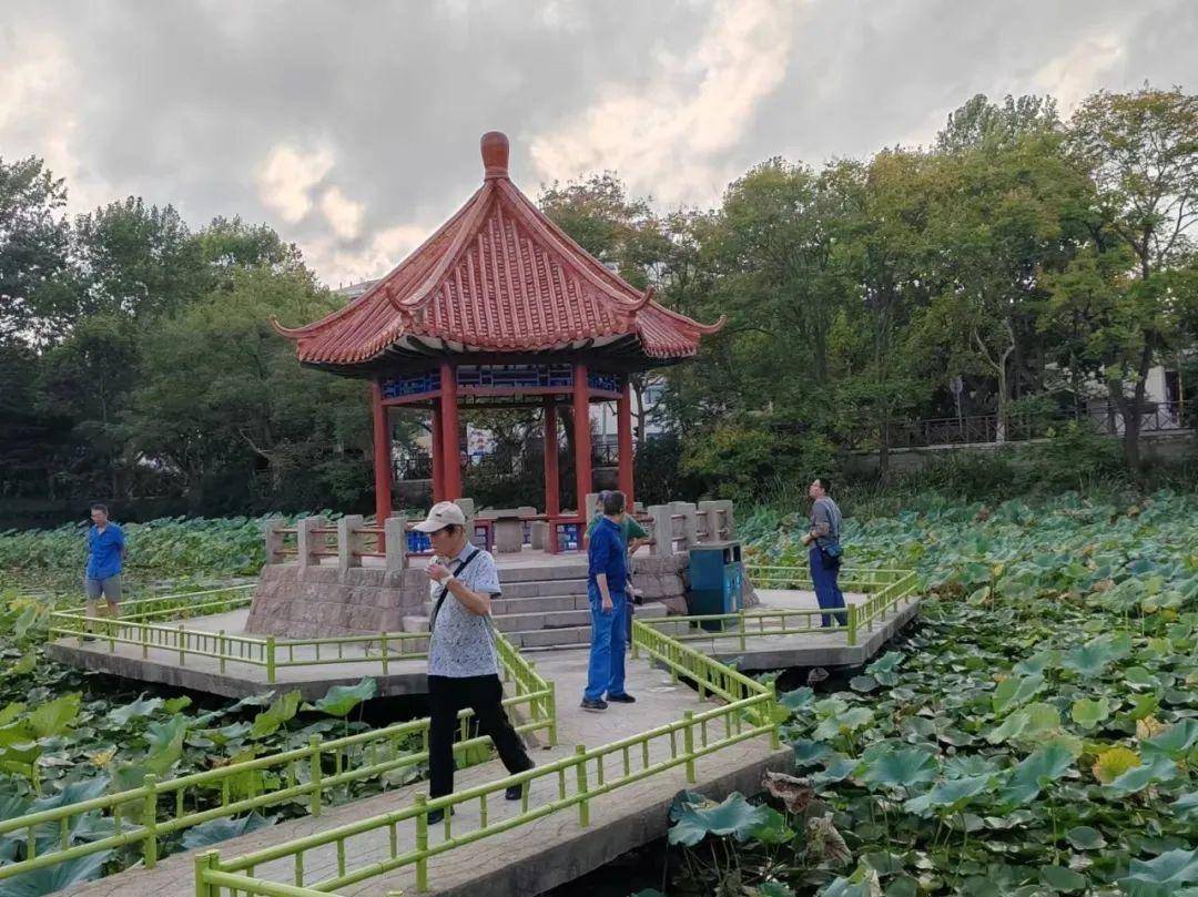青島中山公園一涼亭突然倒塌：一年前剛完成修繕，園方稱無(wú)傷亡原因待查