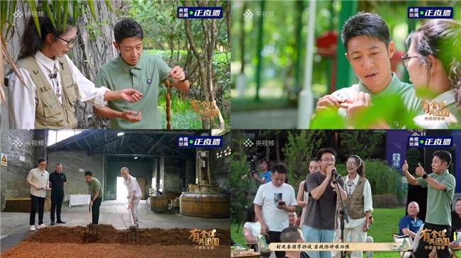 舍得、沱牌再獲“中國500最具價值品牌”，雙品牌價值穩(wěn)步躍升