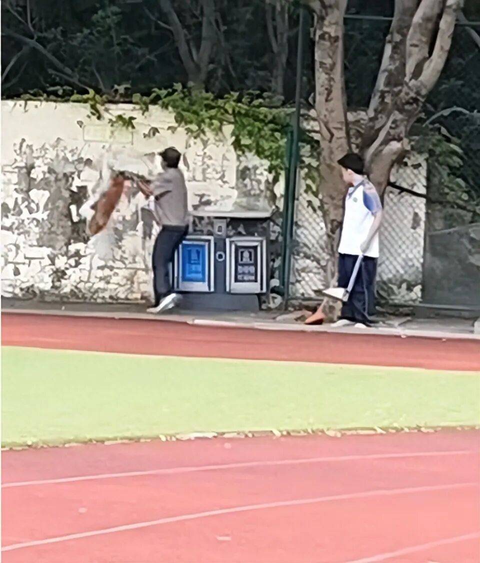福建一公辦職中保安被指當(dāng)學(xué)生面，從3米高墻扔出流浪狗！福清教育局：將核實(shí)情況