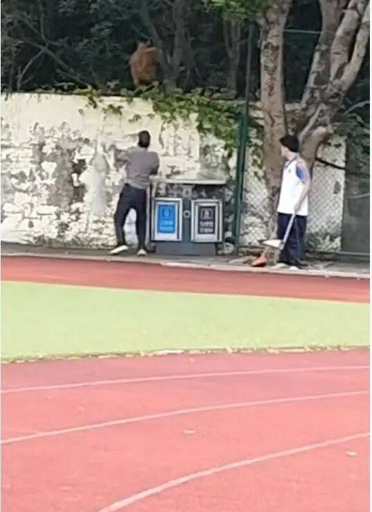 福建一公辦職中保安被指當(dāng)學(xué)生面，從3米高墻扔出流浪狗！福清教育局：將核實(shí)情況